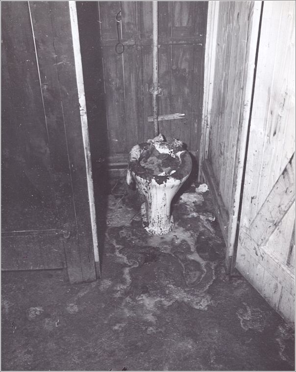 Mauthausen - latrine overflowing with human waste